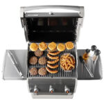 E-310 Grill - Image 2