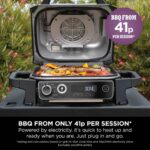 Woodfire Electric BBQ Grill & Smoker - Image 8