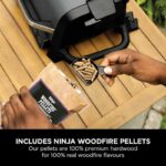 Woodfire Electric BBQ Grill & Smoker with Stand & Cover - Image 10