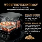 Woodfire Outdoor Oven, Pizza Maker & BBQ Smoker - Image 4