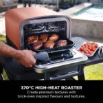 Woodfire Outdoor Oven, Pizza Maker & BBQ Smoker - Image 6