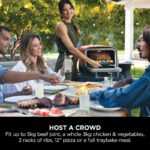Woodfire Outdoor Oven, Pizza Maker & BBQ Smoker - Image 15