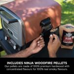 Woodfire Outdoor Oven, Pizza Maker & BBQ Smoker - Image 13