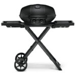 Portable dual-burner propane gas grill