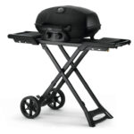 Portable dual-burner propane gas grill - Image 3