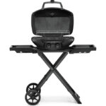 Portable dual-burner propane gas grill - Image 2