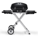 Portable dual-burner gas barbecue- Black